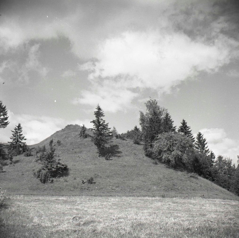 Pašventupio I piliakalnis iš pietvakarių