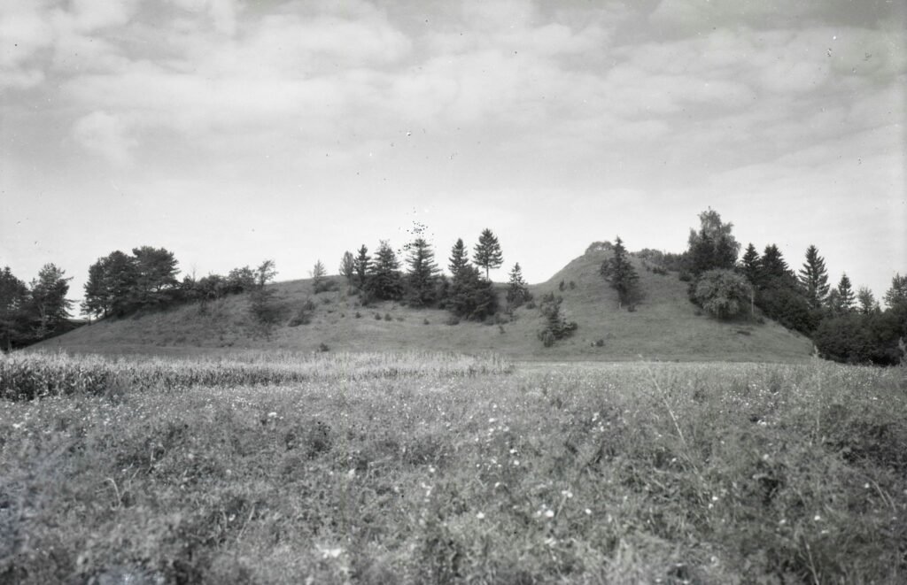 Pašventupio I piliakalnis iš pietvakarių