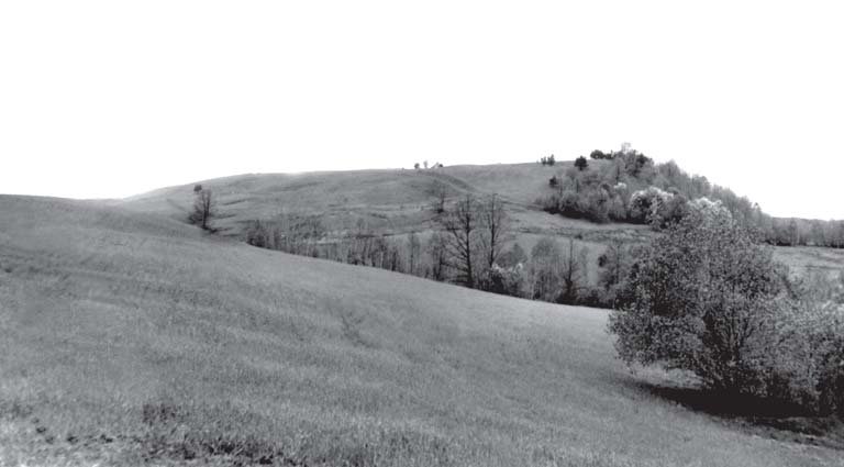 Papiliakalnių piliakalnis iš pietų pusės Data: 1965 m. Šaltinis: Lietuvos istorijos instituto Rankraštynas Nr. 17828