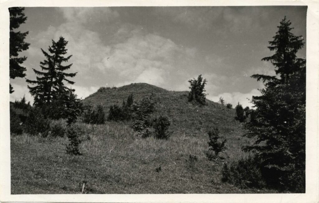 Pašventupio I piliakalnis iš vakarų pusės.