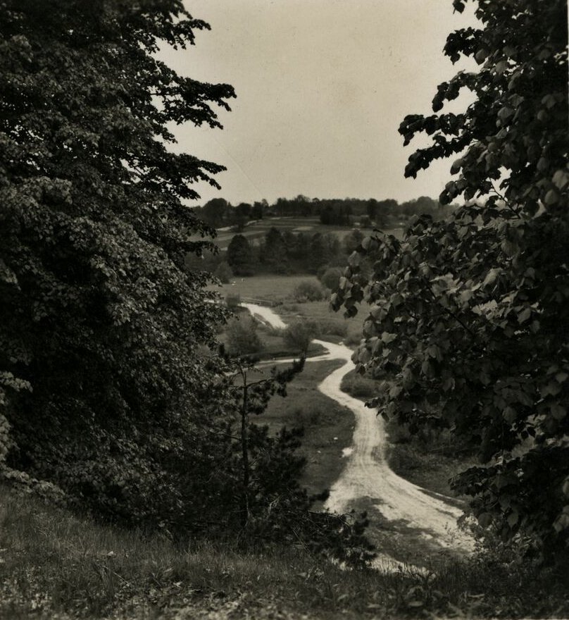 Reginys nuo Skomantų piliakalnio (Tauragės apskr.) dar vadinamo Raguvos kalnu