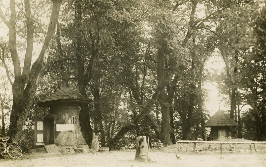 Dionizo Poškos baubliai