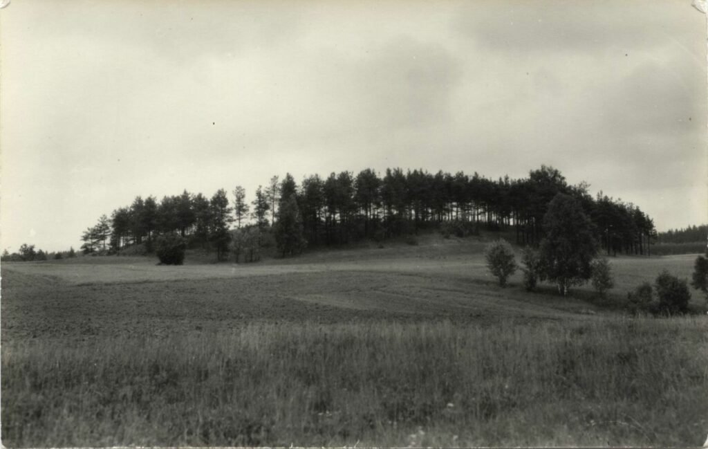 Kuodžių alkakalnis.