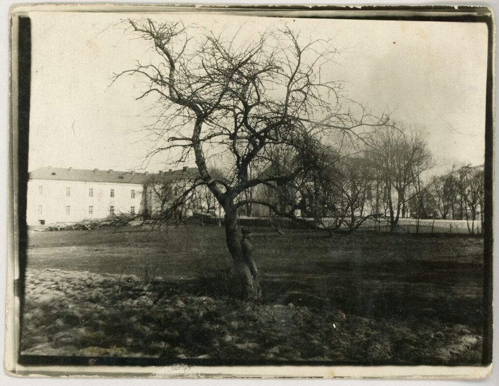 Skapiškio vidurinioji mokykla