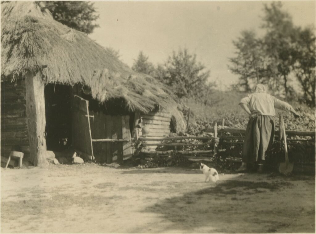 Ant Punios pilies kalno