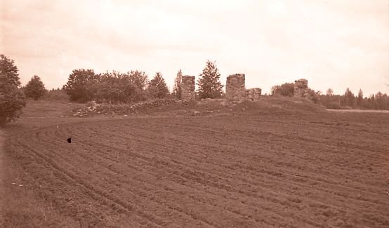 Pastato liekanos, vadinamos "Perkūnija." Joniškėlio rajonas. Kriklėnų apylinkė. Moliūnų kaimas