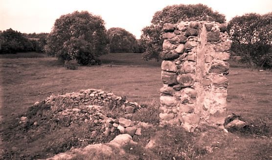 Pastato liekanos, vadinamos "Perkūnija." Joniškėlio rajonas. Kriklėnų apylinkė. Moliūnų kaimas 
