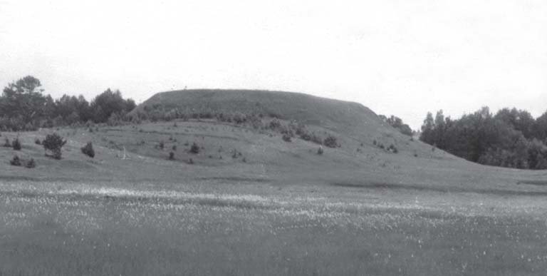 Bogutiškės piliakalnis iš pietryčių pusės Data: 1958 m. Šaltinis: Lietuvos istorijos instituto Rankraštynas, Nr. 7222