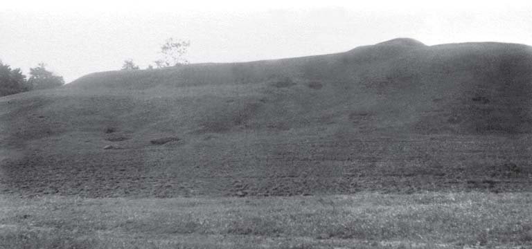 Menkupių piliakalnis iš rytų pusės Data: 1954 m. Šaltinis: Lietuvos istorijos instituto Rankraštynas, Nr. 3663