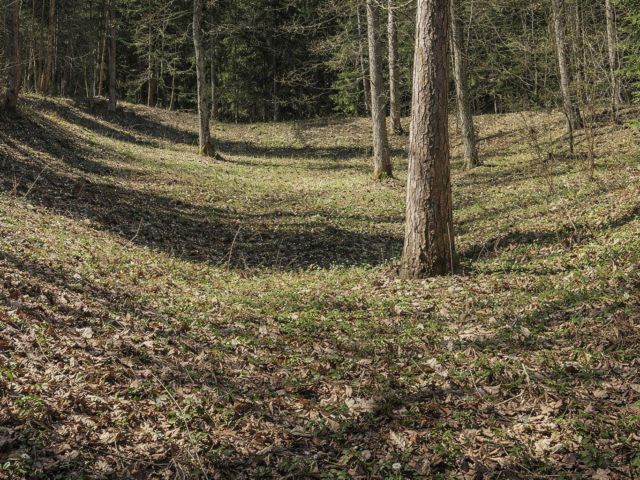 Moliūnų piliakalnis – gynybinis objektas miško glūdumoje