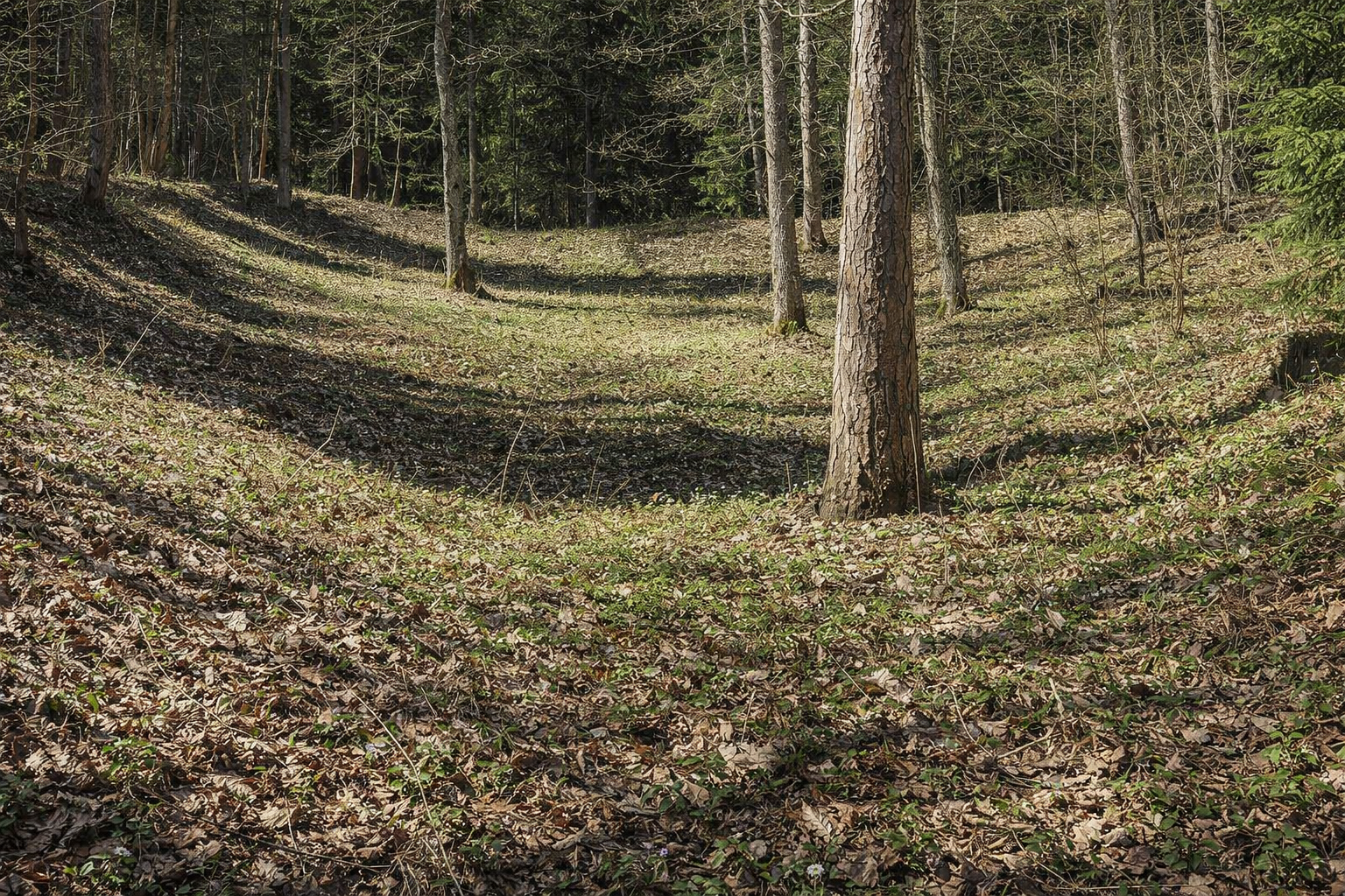 Moliūnų piliakalnis