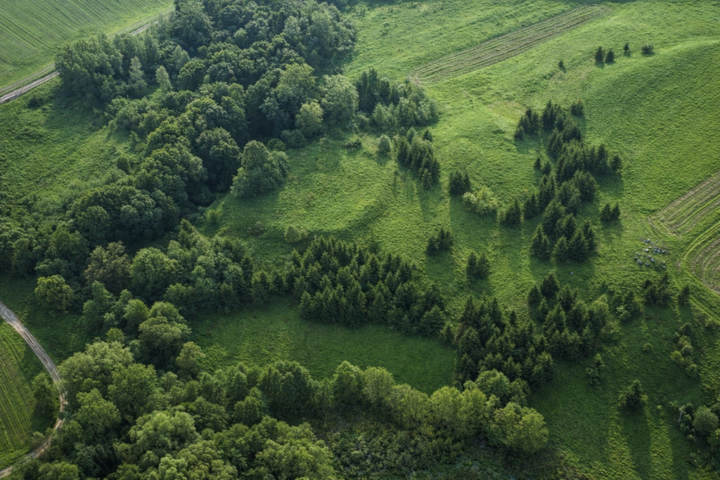 Menkupių piliakalnis – I–II tūkstantmečio sandūros archeologinis paminklas