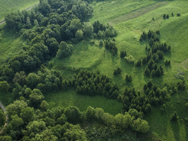 Menkupių piliakalnis – I–II tūkstantmečio sandūros archeologinis paminklas
