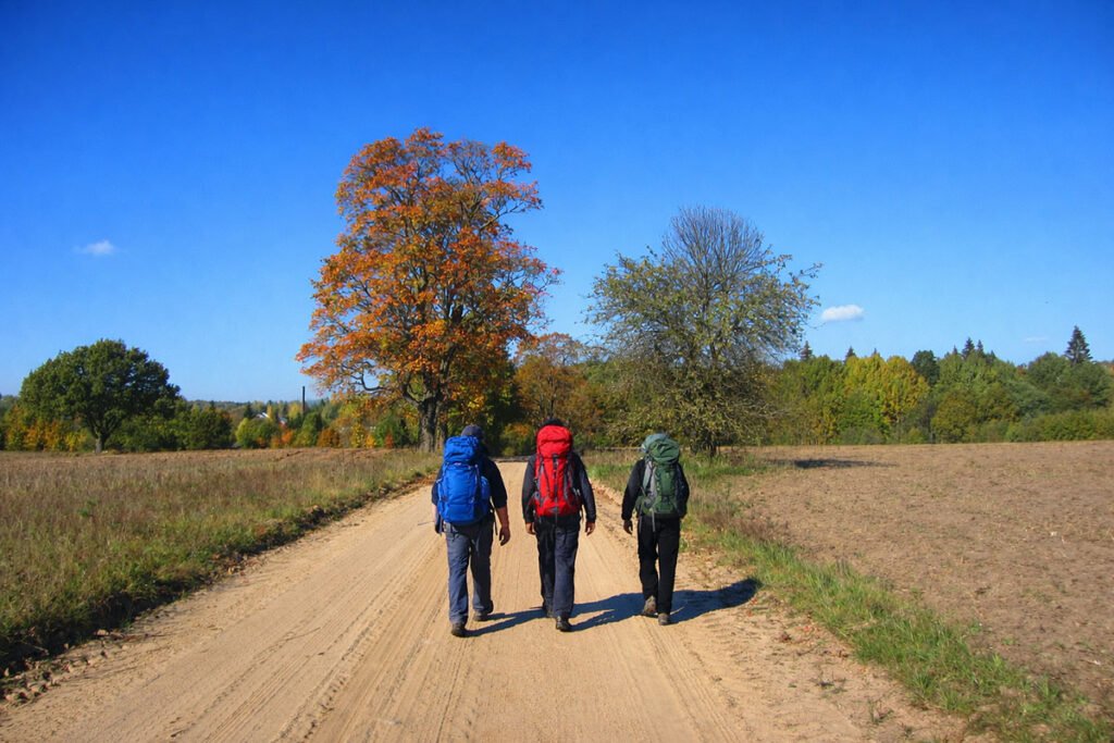 Šilėti Švenčionijos pietryčiai