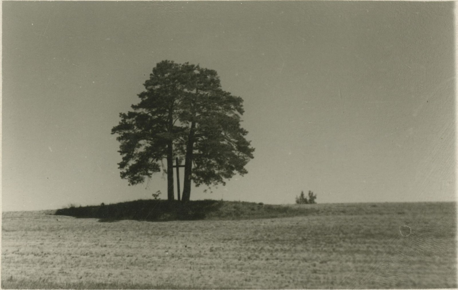 Senkapiai prie Raguvos