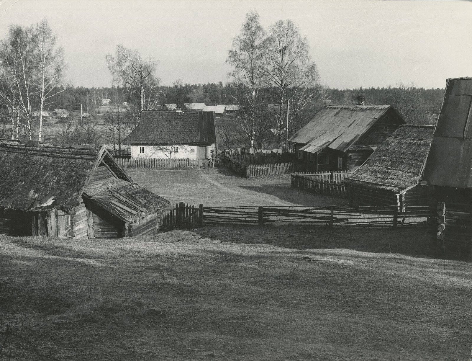 Zervynų kaimas rudenį