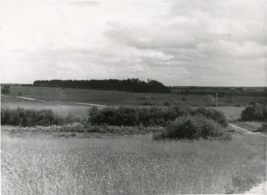 "Velniaduobės" šilo vaizdas nuo Sidabrinės piliakalnio pusės. Rokiškio rajonas. Onuškio apylinkė. Bryzgių kaimas 