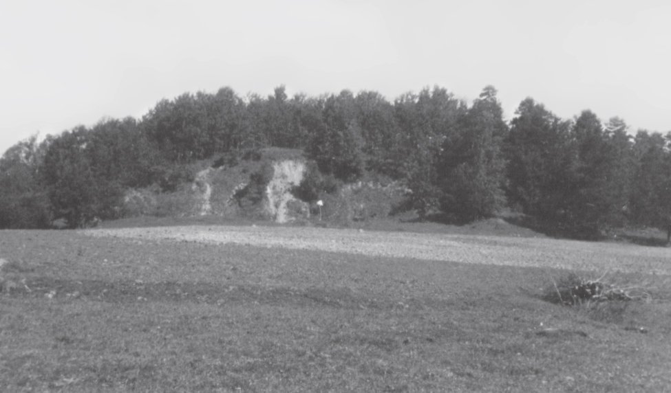 Alksnių piliakalnis iš pietvakarių pusės 