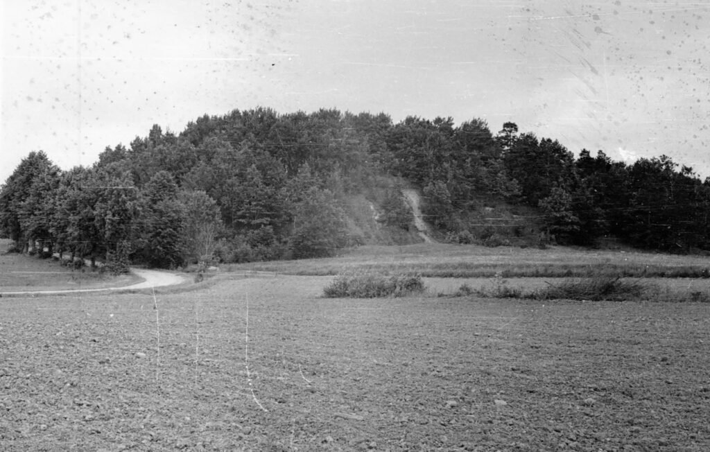 Alksnių piliakalnis