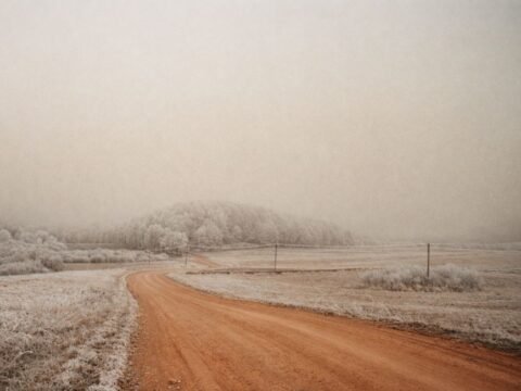 Alksnių piliakalnis