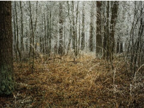 Bryzgių piliakalnis ir Velnio Duobės slėpiniai