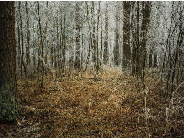 Bryzgių piliakalnis ir Velnio Duobės slėpiniai