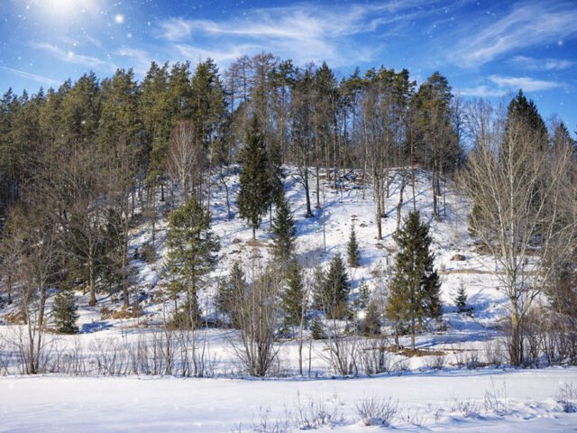 Darbutų I piliakalnis