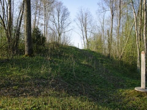 Užubalių piliakalnis – piliakalnis, padalytas valstybių sienomis