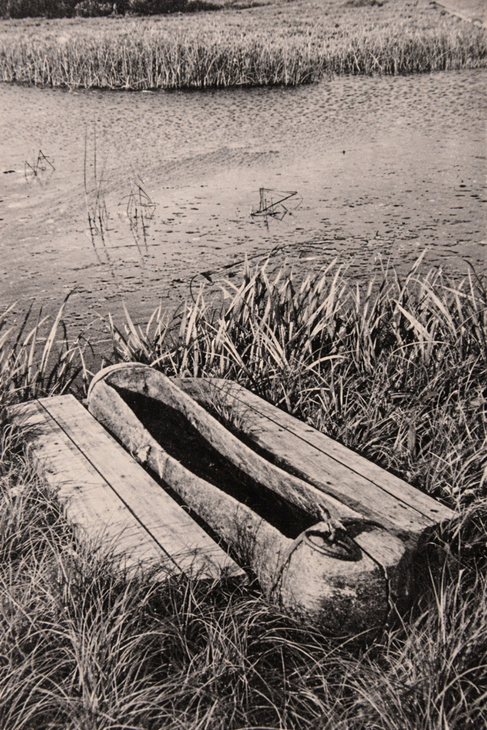 Dysnos upėje nesunku pamatyti eldiją.