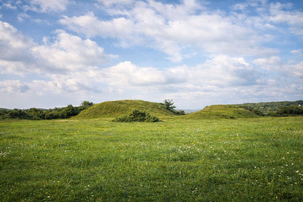 Kalnėnų piliavietė