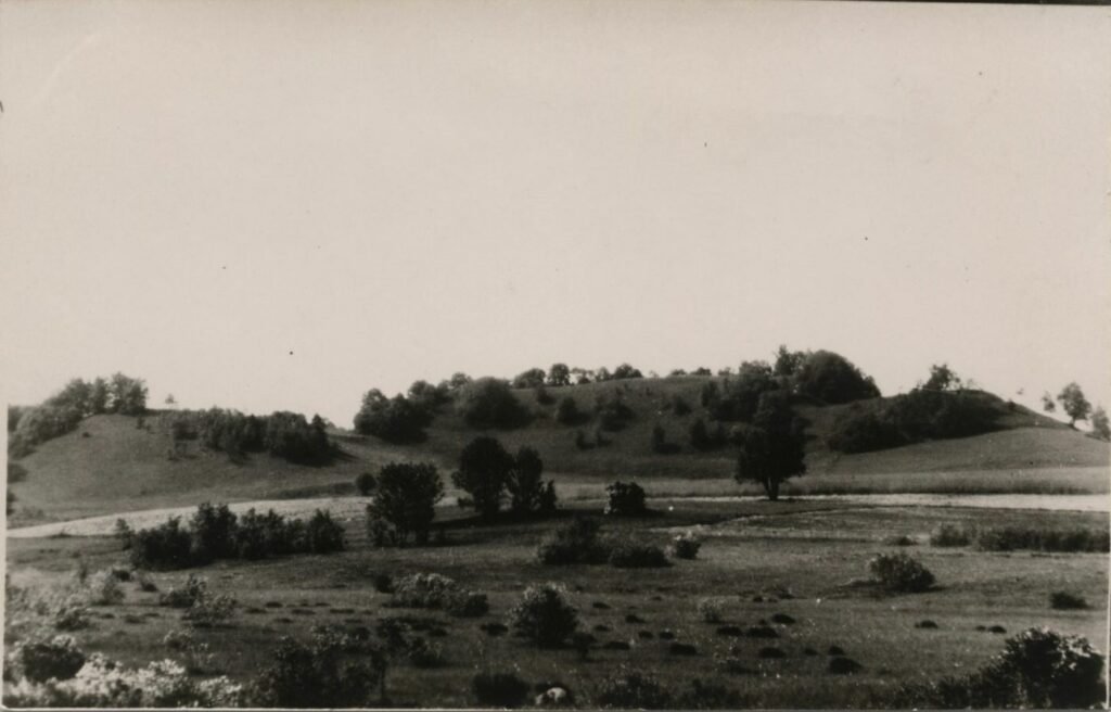 Medvėgalio piliakalnis iš šiaurės rytų pusės.