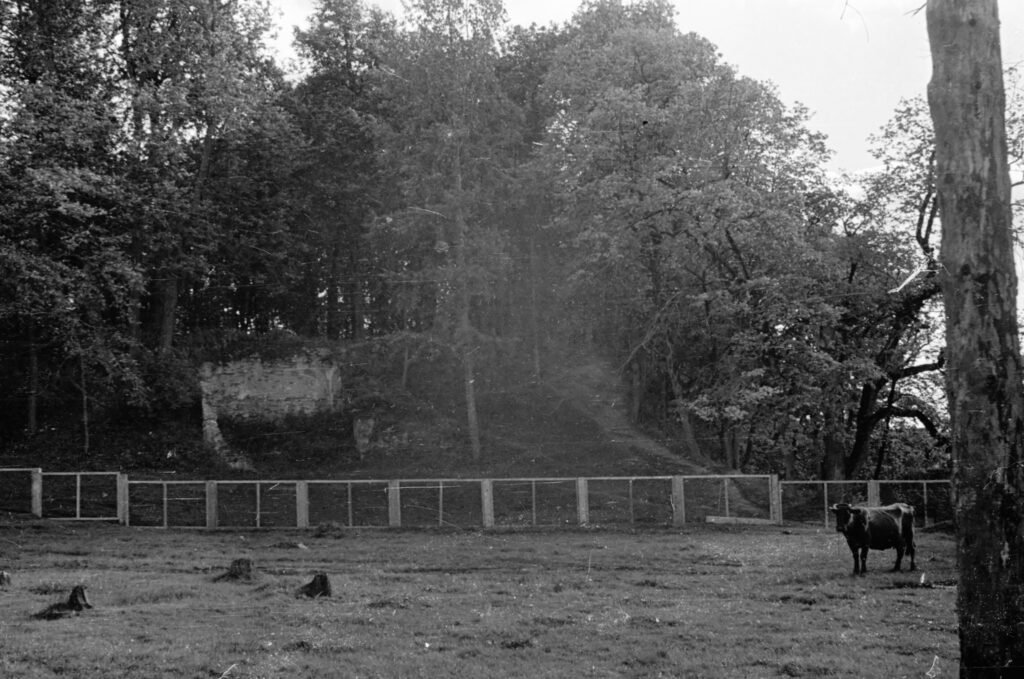 Panemunio piliakalnis