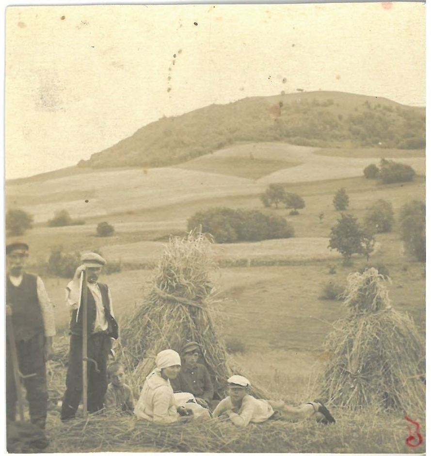 Šienautojai Šatrijos kalno papėdėje