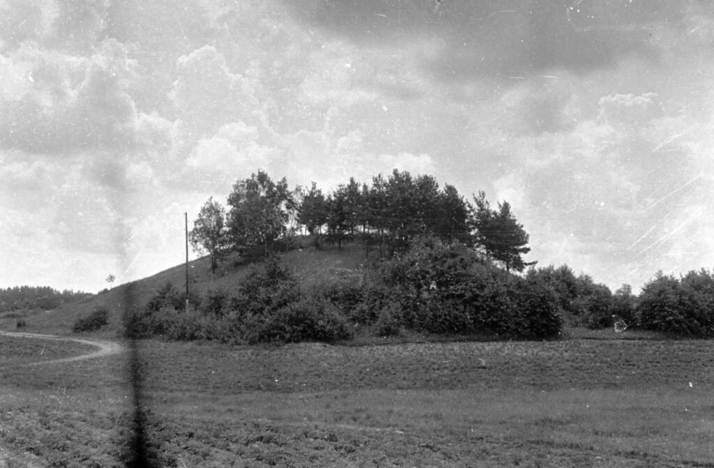 Valiūniškio piliakalnis