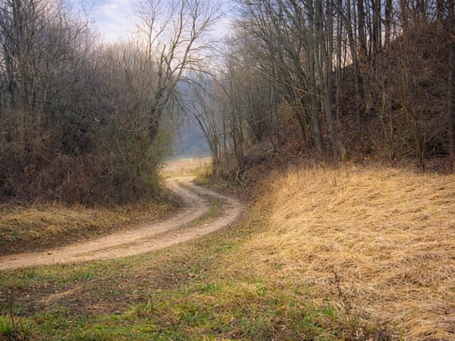 Baimainių piliakalnis – paslaptingas kalnas prie Liaudės vingio