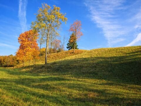 Kalnaberžės piliakalnis