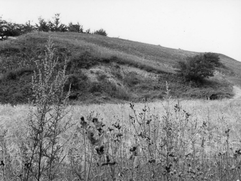 Kalnaberžės piliakalnis. Kėdainių rajonas. Kalnaberžės kaimas