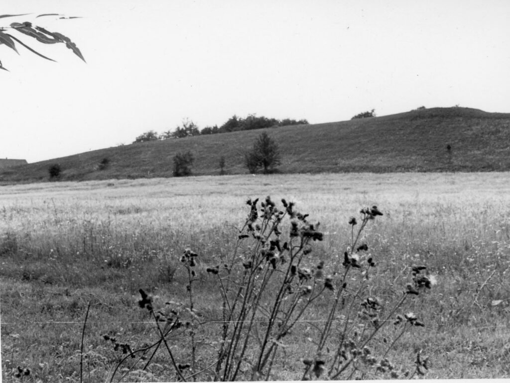 Kalnaberžės piliakalnis. Kėdainių rajonas. Surviliškio apylinkė. Kalnaberžės kaimas