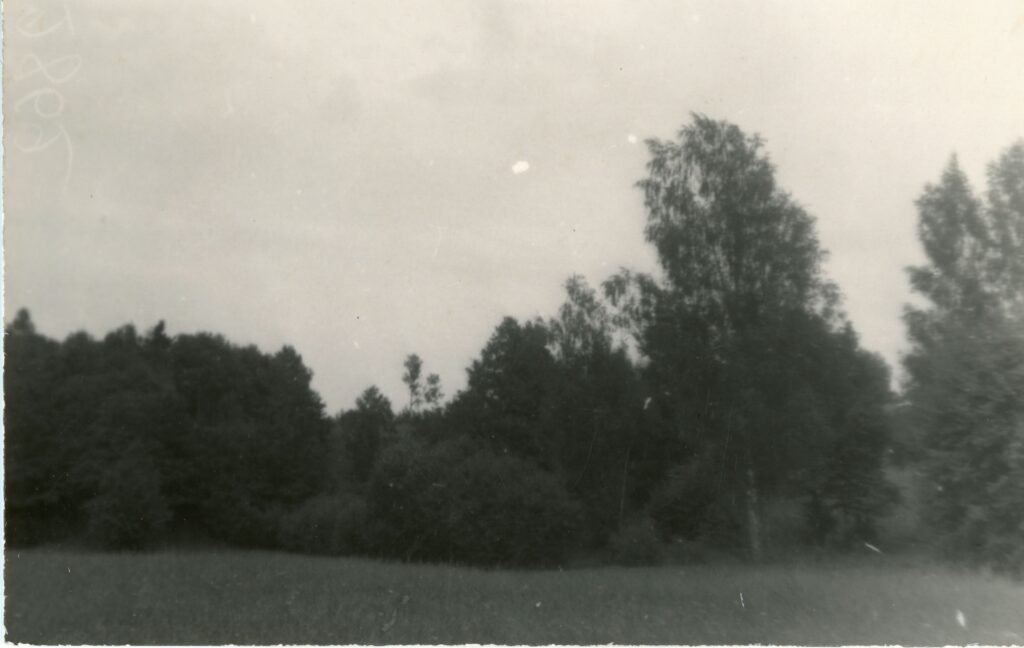 Kalnas (Piliakalnis), vadinamas Užpiliu. Mažeikių apskritis. Sedos valsčius. Rimolių kaimas