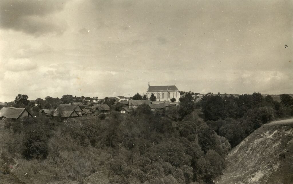 Merkinės panorama su bažnyčia