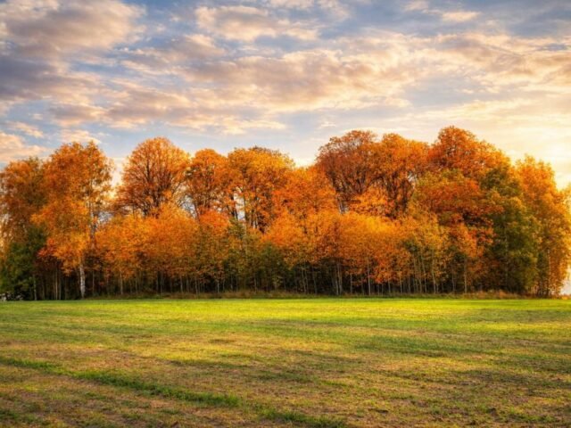 Puokės alkakalnis – senovės tikėjimų pėdsakai Puokėje