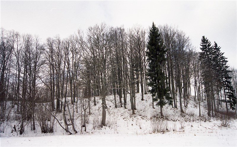 Rimolių piliakalnis iš rytų pusės