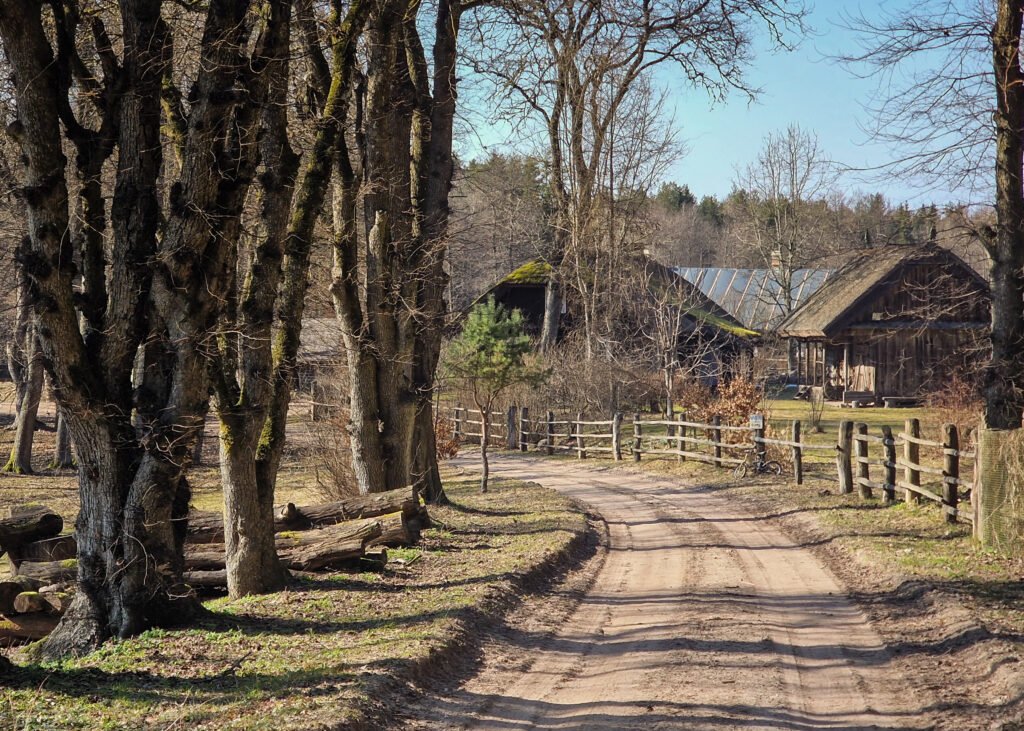 Ten, kur gyvena karčiuotos gyvatės