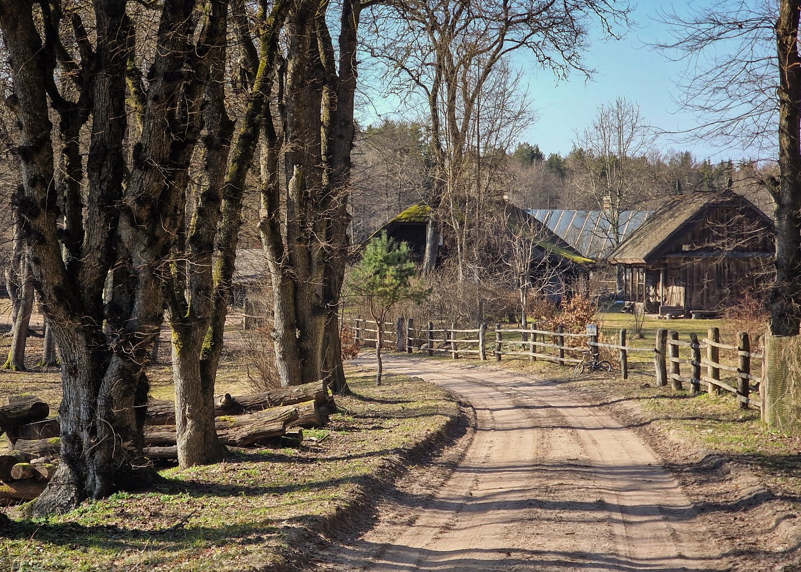 Ten, kur gyvena karčiuotos gyvatės