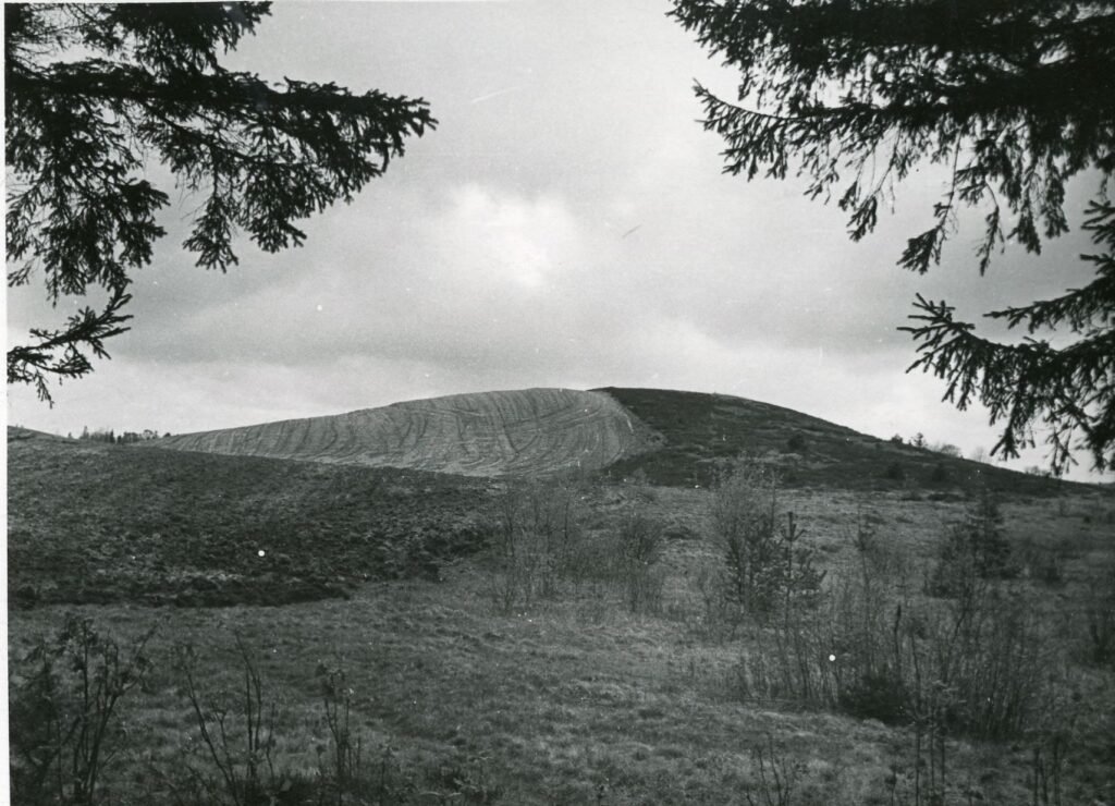 Kalnas, vadinamas Raganų kalnu. Skuodo rajonas. Barstyčių apylinkė. Barstyčių kaimas