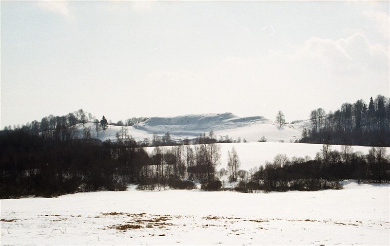 Kalvalių piliakalnis iš šiaurės pusės