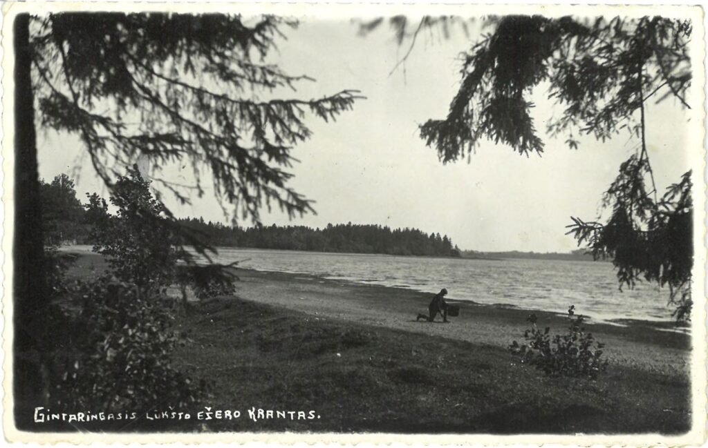 Lukšto ežero pakrantė 