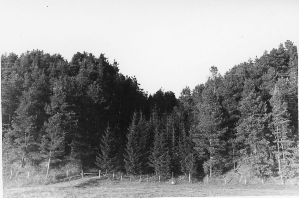 Rambyno kalnas. Pagėgių apskritis. Bitėnų valsčius. Bitėnų kaimas 