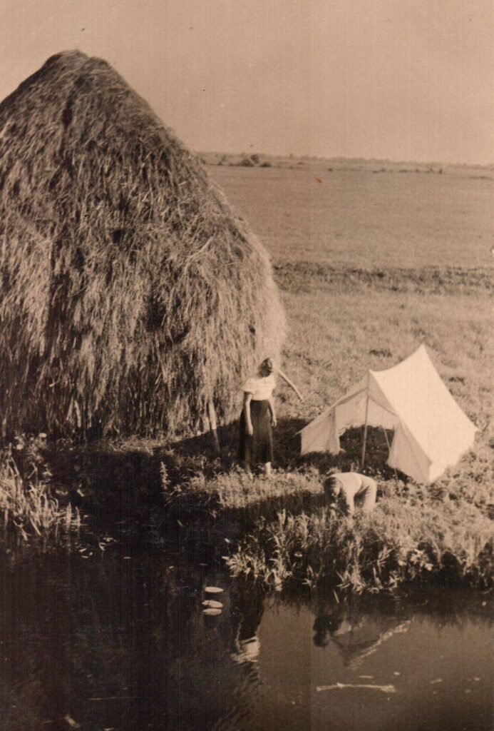 Salako apylinkių vaizdas 