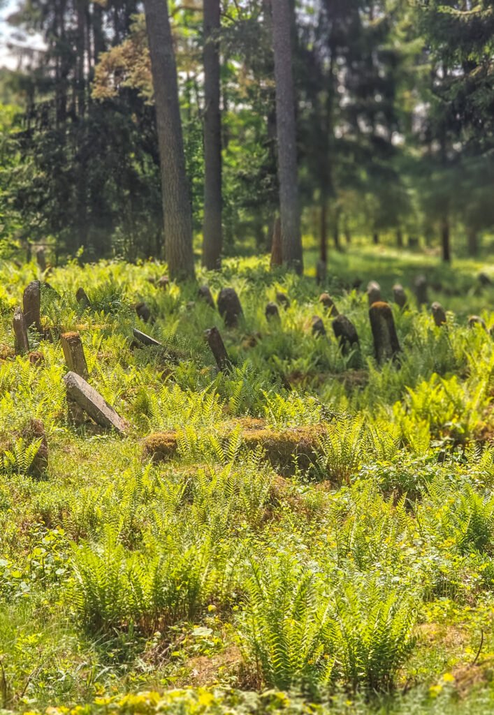Senosios žydų kapinės
